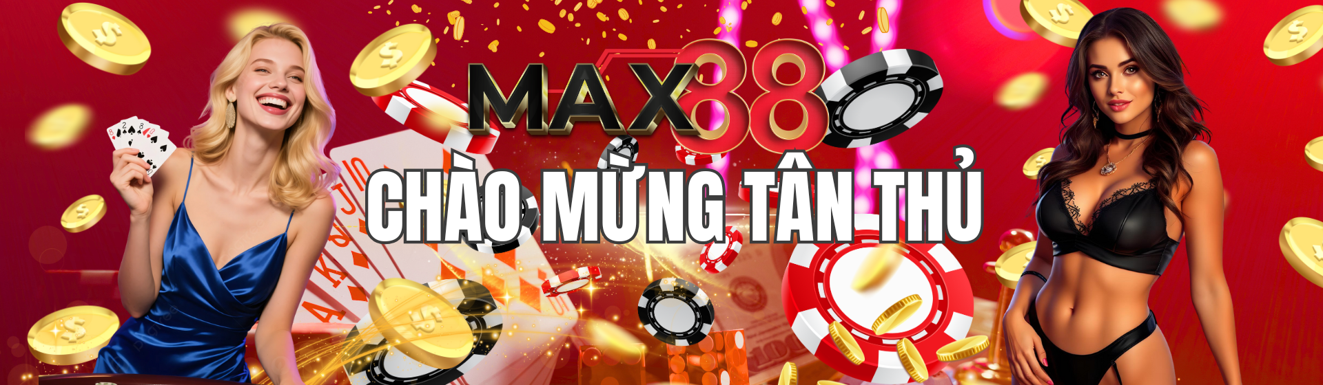 BANNER MAX88